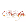 Zestaw flamastrów do kaligrafii Pitt Artist Pens FABER-CASTELL - 4 kolory