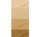 Blok do pasteli Canson Mi-Teintes Touch 160g, 20ark 24x32cm brązy.jpg