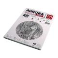 Blok do szkicu AURORA Sketch Matt 160g, 20 ark. A4 na spirali.jpg