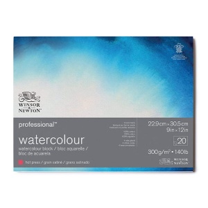 Blok do akwareli Winsor & Newton Professional hot press (gładki) 300g, 20ark. 22,9x30,5cm