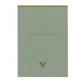 Notatnik Clairefontaine Flying Spirit Green 15x21 cm - linia.jpg