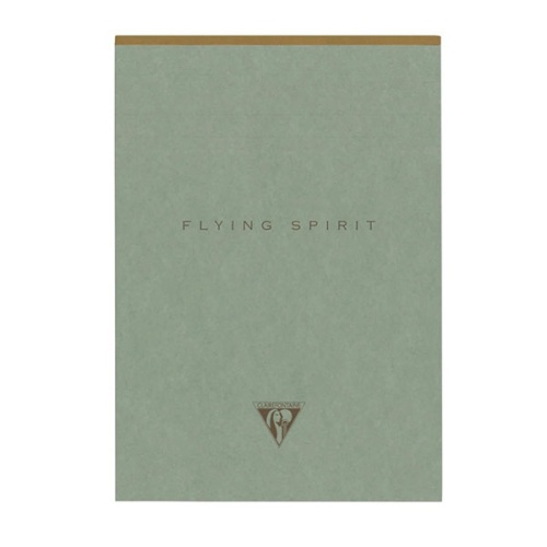 Notatnik Clairefontaine Flying Spirit Green 15x21 cm - linia.jpg