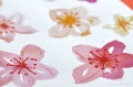 swiat_artysty_farby_akwarelowe_koh_i_noor (9).jpg